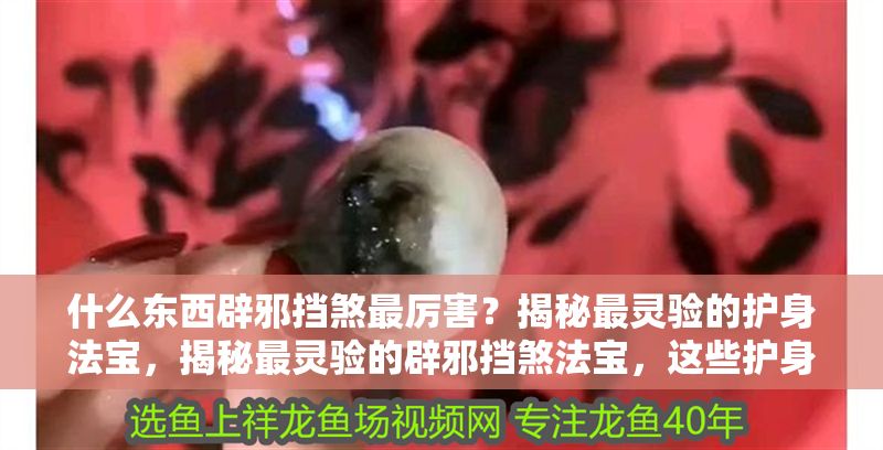 什么東西辟邪擋煞最厲害？揭秘最靈驗的護身法寶，揭秘最靈驗的辟邪擋煞法寶，這些護身神器效果驚人！ 什么東西辟邪擋煞最厲害？揭秘最靈驗的護身法寶，揭秘最靈驗的辟邪擋煞法寶，這些護身神器效果驚人！ 龍魚百科 第1張