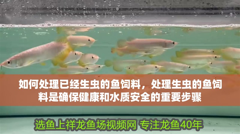 如何處理已經(jīng)生蟲的魚飼料，處理生蟲的魚飼料是確保健康和水質(zhì)安全的重要步驟
