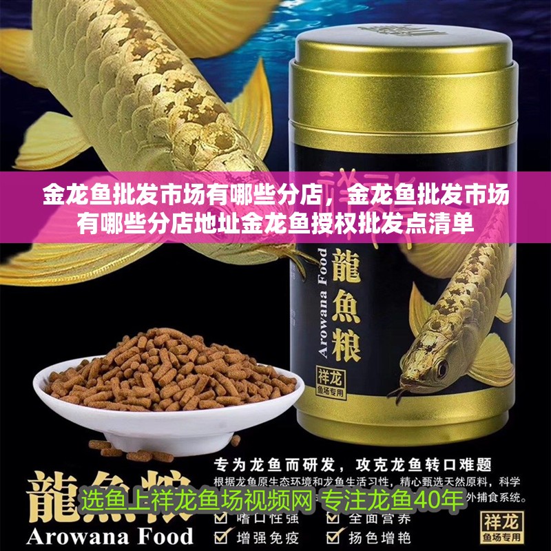 金龍魚批發(fā)市場有哪些分店，金龍魚批發(fā)市場有哪些分店地址金龍魚授權(quán)批發(fā)點(diǎn)清單
