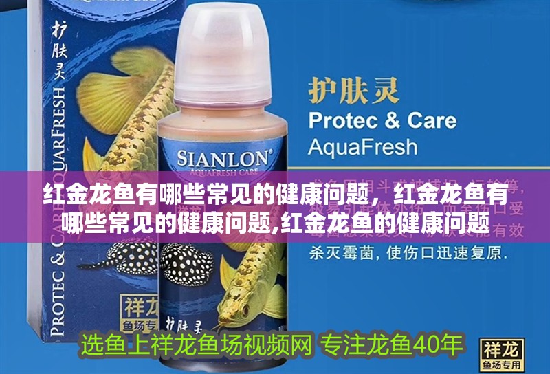 紅金龍魚有哪些常見的健康問題，紅金龍魚有哪些常見的健康問題,紅金龍魚的健康問題