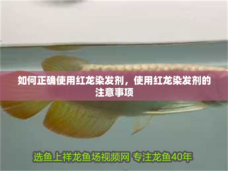 如何正確使用紅龍染發劑，使用紅龍染發劑的注意事項