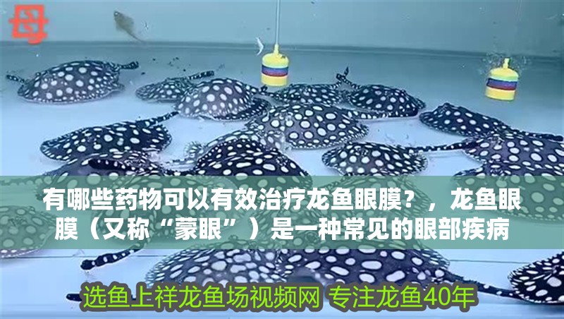 有哪些藥物可以有效治療龍魚眼膜？，龍魚眼膜（又稱“蒙眼”）是一種常見的眼部疾病