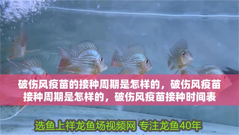 破傷風疫苗的接種周期是怎樣的，破傷風疫苗接種周期是怎樣的，破傷風疫苗接種時間表