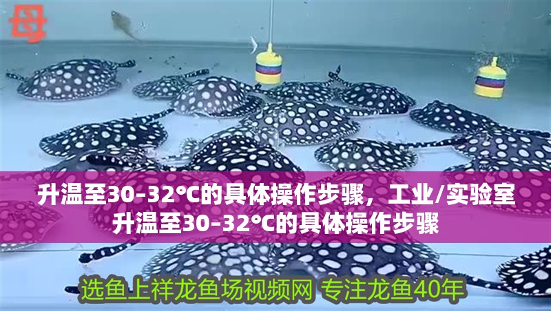 升溫至30–32℃的具體操作步驟，工業(yè)/實驗室升溫至30–32℃的具體操作步驟