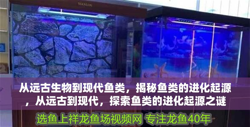 從遠古生物到現代魚類，揭秘魚類的進化起源，從遠古到現代，探索魚類的進化起源之謎