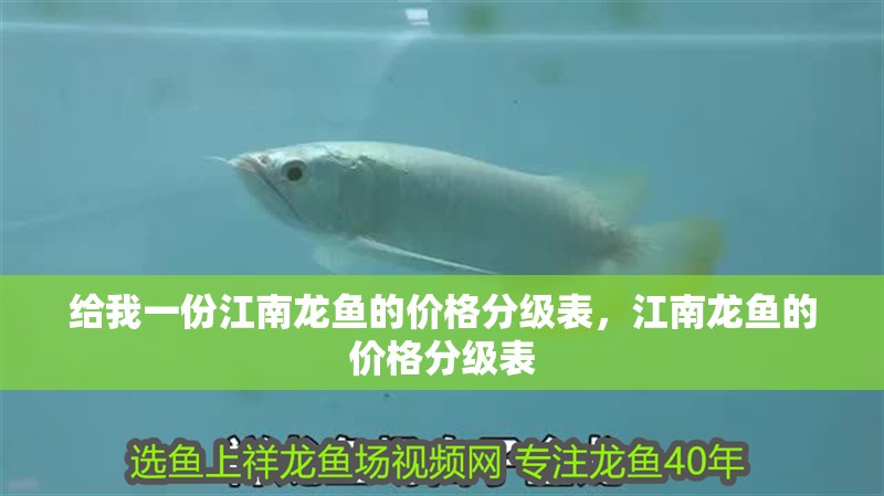 給我一份江南龍魚的價格分級表，江南龍魚的價格分級表