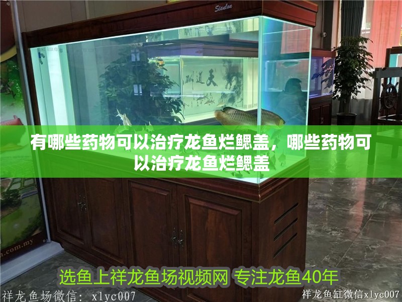 有哪些藥物可以治療龍魚爛鰓蓋，哪些藥物可以治療龍魚爛鰓蓋