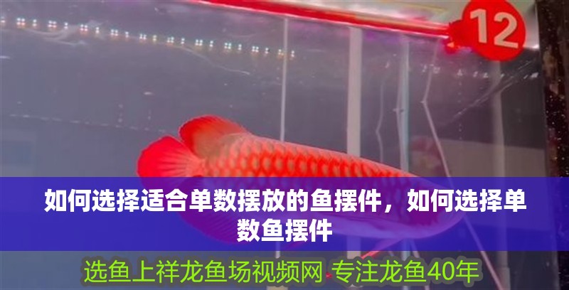 如何選擇適合單數擺放的魚擺件，如何選擇單數魚擺件