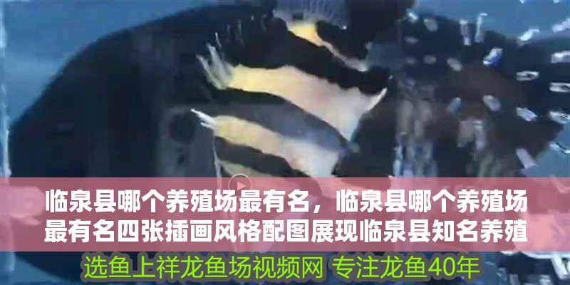 臨泉縣哪個養殖場最有名，臨泉縣哪個養殖場最有名四張插畫風格配圖展現臨泉縣知名養殖場