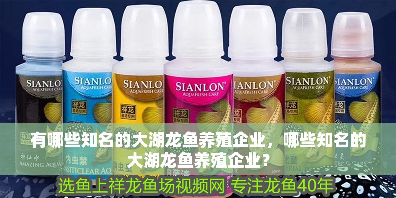 有哪些知名的大湖龍魚養(yǎng)殖企業(yè)，哪些知名的大湖龍魚養(yǎng)殖企業(yè)？