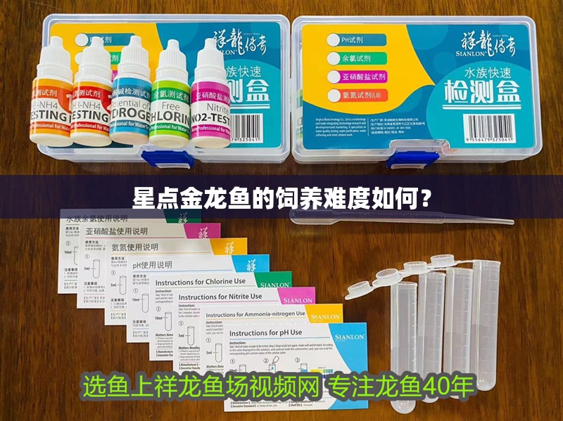 星點金龍魚的飼養(yǎng)難度如何？