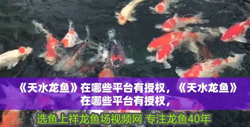《天水龍魚(yú)》在哪些平臺(tái)有授權(quán)，《天水龍魚(yú)》在哪些平臺(tái)有授權(quán)，
