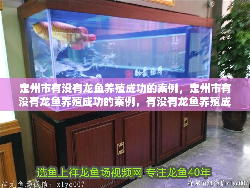 定州市有沒有龍魚養殖成功的案例，定州市有沒有龍魚養殖成功的案例，有沒有龍魚養殖成功的案例