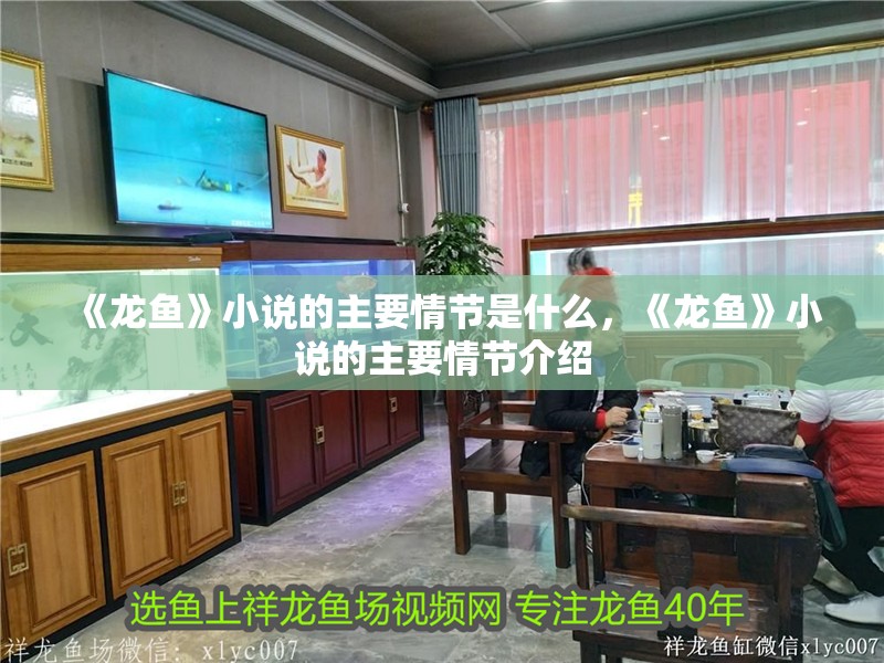 《龍魚》小說的主要情節是什么，《龍魚》小說的主要情節介紹