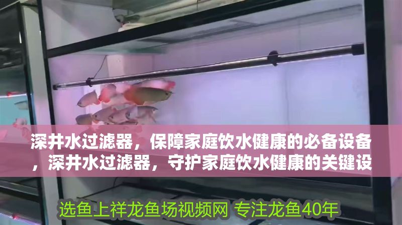 深井水過濾器，保障家庭飲水健康的必備設備，深井水過濾器，守護家庭飲水健康的關鍵設備
