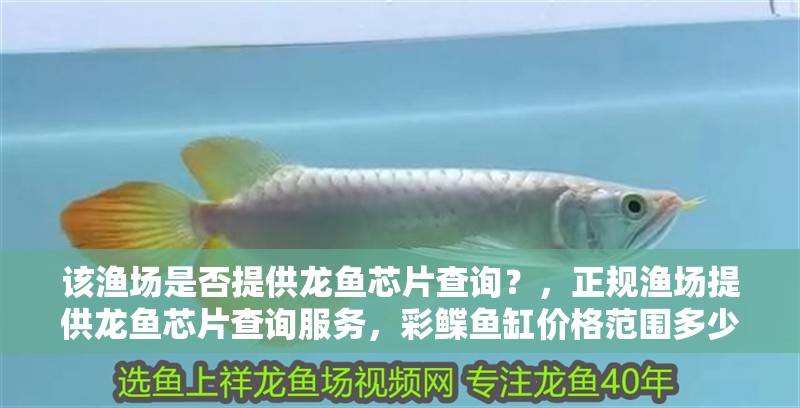 該漁場是否提供龍魚芯片查詢？，正規漁場提供龍魚芯片查詢服務，彩鰈魚缸價格范圍多少