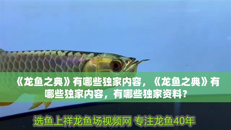 《龍魚之典》有哪些獨家內容，《龍魚之典》有哪些獨家內容，有哪些獨家資料？
