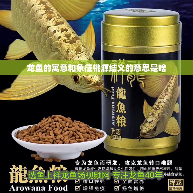 龍魚的寓意和象征桃源結義的意思是啥 龍魚的寓意和象征桃源結義的意思是啥 龍魚百科 第2張