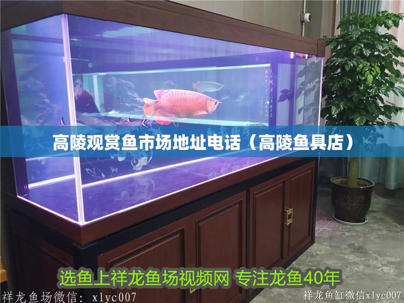 高陵觀賞魚市場地址電話(高陵魚具店) 全國水族館企業名錄 第1張 高陵觀賞魚市場地址電話(高陵魚具店) 高陵觀賞魚市場地址電話(高陵魚具店) 全國水族館企業名錄 第1張