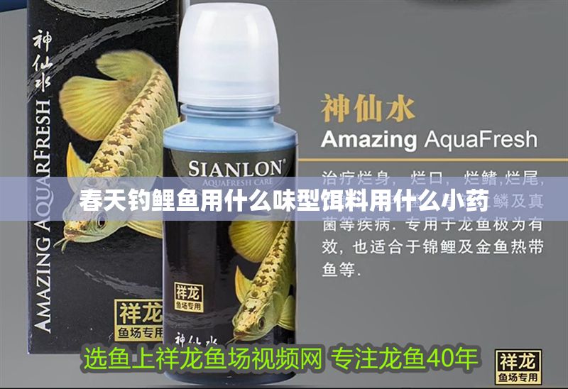 春天釣鯉魚用什么味型餌料用什么小藥