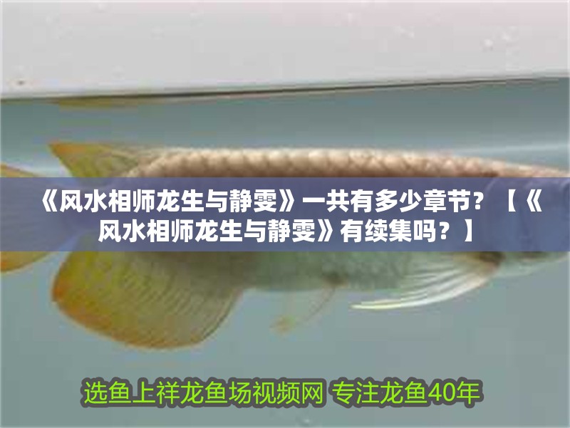 《風水相師龍生與靜雯》一共有多少章節？【《風水相師龍生與靜雯》有續集嗎？】