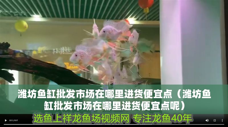 濰坊魚缸批發市場在哪里進貨便宜點（濰坊魚缸批發市場在哪里進貨便宜點呢）
