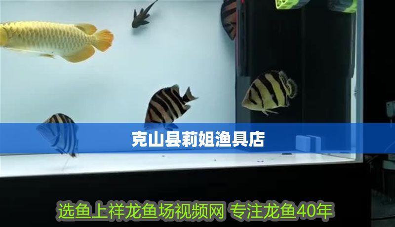 克山縣莉姐漁具店 全國水族館企業名錄 第1張 克山縣莉姐漁具店 克山縣莉姐漁具店 全國水族館企業名錄 第1張