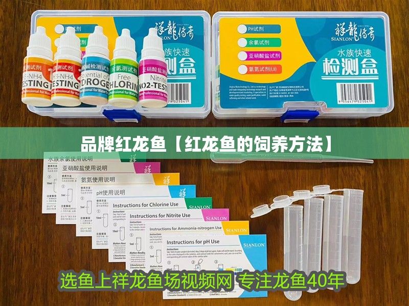 品牌紅龍魚(yú)【紅龍魚(yú)的飼養(yǎng)方法】