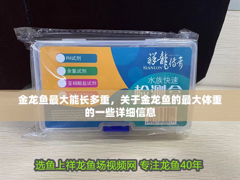 金龍魚最大能長多重，關于金龍魚的最大體重的一些詳細信息 金龍魚最大能長多重，關于金龍魚的最大體重的一些詳細信息 龍魚百科 第2張