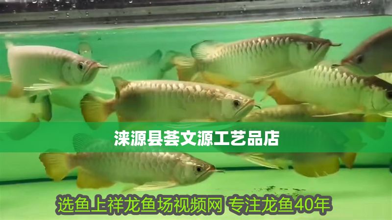 淶源縣薈文源工藝品店 淶源縣薈文源工藝品店 全國水族館企業名錄 第1張