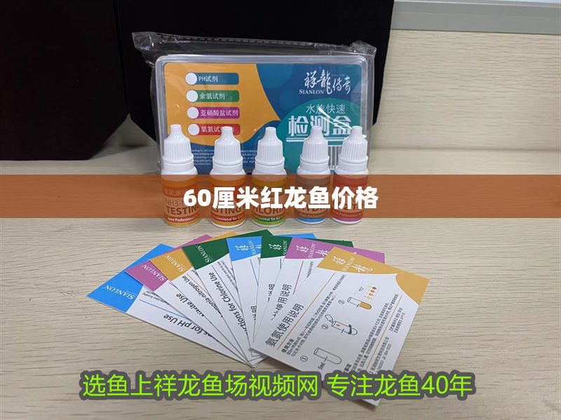 60厘米紅龍魚價格