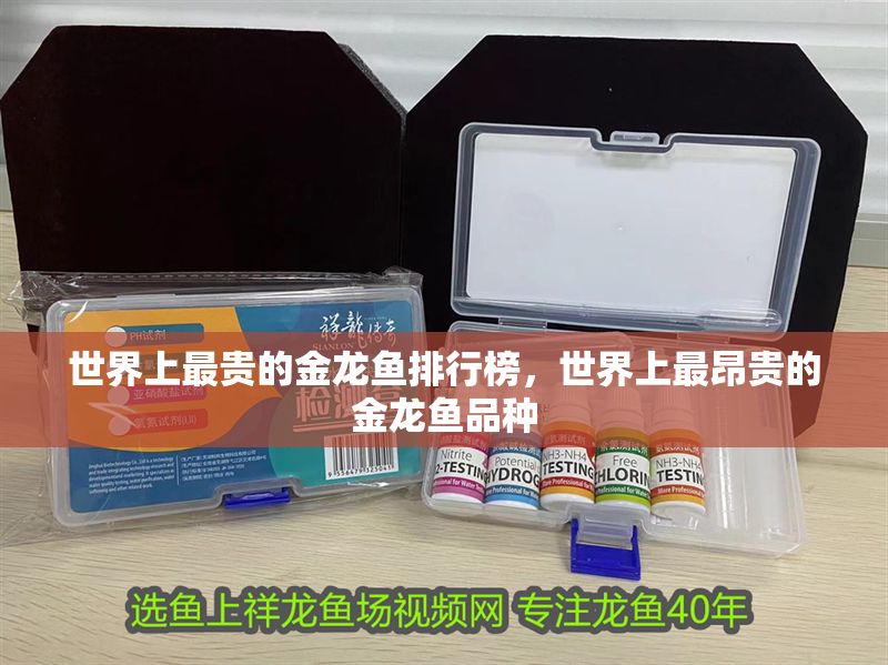 世界上最貴的金龍魚(yú)排行榜，世界上最昂貴的金龍魚(yú)品種