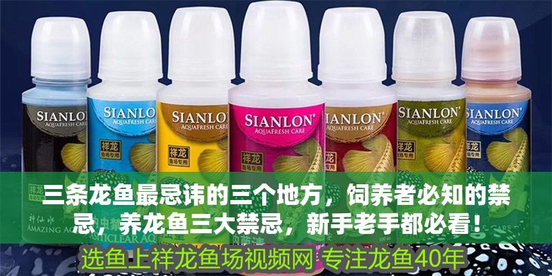 三條龍魚最忌諱的三個地方，飼養者必知的禁忌，養龍魚三大禁忌，新手老手都必看！