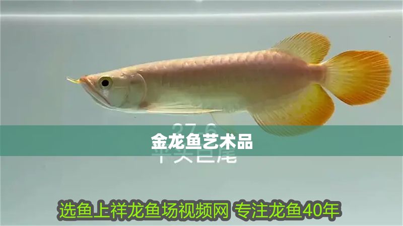 金龍魚藝術(shù)品