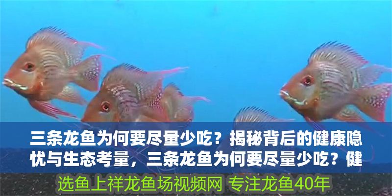 三條龍魚為何要盡量少吃?揭秘背后的健康隱憂與生態考量,三條龍魚為何要盡量少吃?健康隱憂與生態影響深度解析