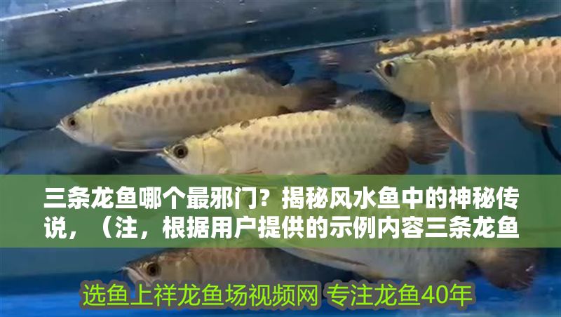 三條龍魚哪個最邪門？揭秘風水魚中的神秘傳說，（注，根據用戶提供的示例內容三條龍魚哪個最邪門？揭秘風水魚中的神秘傳說，推測其偏好神秘、風水相關主題，故生成以下標題。若實際內容方向不同，可調整關鍵詞。），建議，，血紅龍魚竟招陰？三大邪門龍魚風水禁忌全解析，聚焦邪門風水禁忌等關鍵詞，用疑問句式引發好奇，同時涵蓋三大龍魚的對比要素，符合用戶提供的參考風格。）