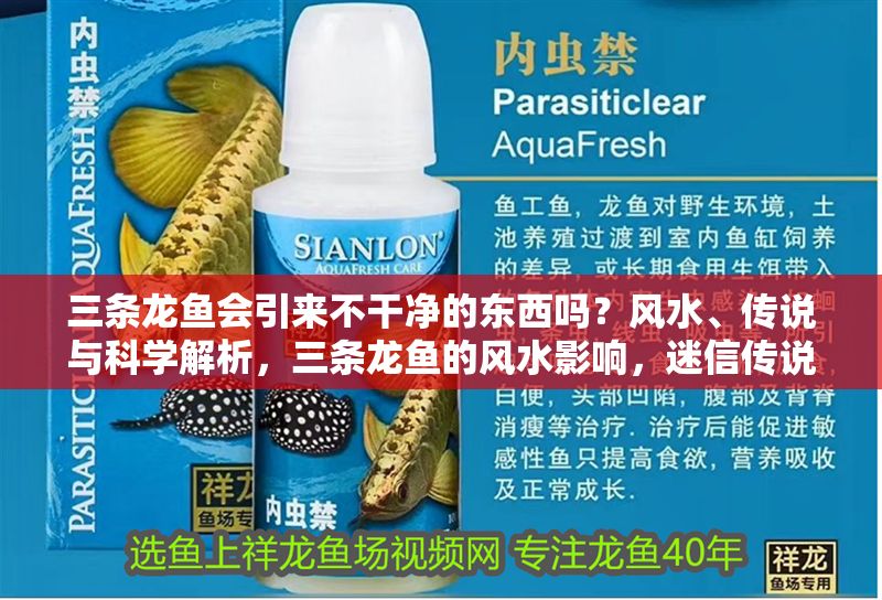 三條龍魚會引來不干凈的東西嗎？風(fēng)水、傳說與科學(xué)解析，三條龍魚的風(fēng)水影響，迷信傳說與科學(xué)真相解析