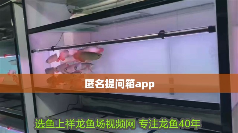 匿名提問箱app