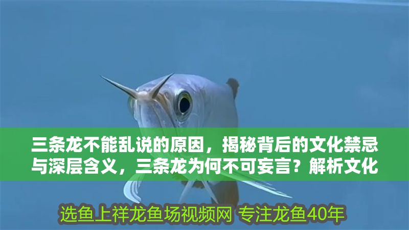 過背金龍魚可以吃嗎有毒嗎圖片(過背金龍魚可以吃嗎有毒嗎圖片視頻)