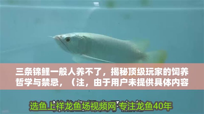 三條錦鯉一般人養不了,揭秘頂級玩家的飼養哲學與禁忌,(注,由于用戶未提供具體內容,以上標題是基于常見錦鯉飼養話題的通用示例。若需精準標題,請補充內容細節。) 龍魚百科 第1張 三條錦鯉一般人養不了,揭秘頂級玩家的飼養哲學與禁忌,(注,由于用戶未提供具體內容,以上標題是基于常見錦鯉飼養話題的通用示例。若需精準標題,請補充內容細節。) 三條錦鯉一般人養不了,揭秘頂級玩家的飼養哲學與禁忌,(注,由于用戶未提供具體內容,以上標題是基于常見錦鯉飼養話題的通用示例。若需精準標題,請補充內容細節。) 龍魚百科 第1張