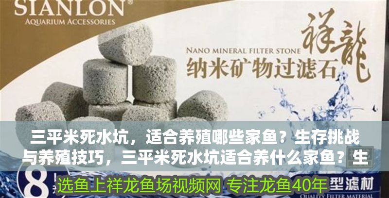 三平米死水坑，適合養(yǎng)殖哪些家魚？生存挑戰(zhàn)與養(yǎng)殖技巧，三平米死水坑適合養(yǎng)什么家魚？生存挑戰(zhàn)與養(yǎng)殖技巧解析