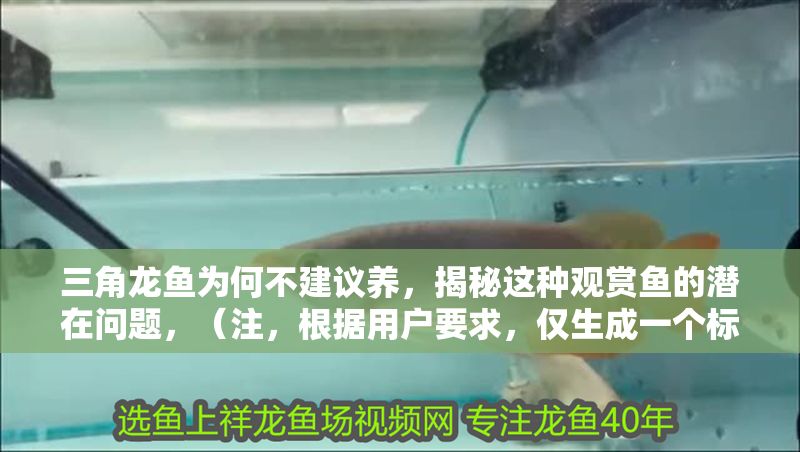 三角龍魚為何不建議養,揭秘這種觀賞魚的潛在問題,(注,根據用戶要求,僅生成一個標題,故無后續內容) 龍魚百科 第1張 三角龍魚為何不建議養,揭秘這種觀賞魚的潛在問題,(注,根據用戶要求,僅生成一個標題,故無后續內容) 三角龍魚為何不建議養,揭秘這種觀賞魚的潛在問題,(注,根據用戶要求,僅生成一個標題,故無后續內容) 龍魚百科 第1張