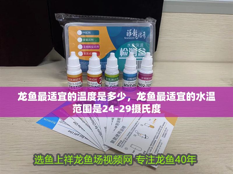 龍魚最適宜的溫度是多少，龍魚最適宜的水溫范圍是24-29攝氏度 龍魚最適宜的溫度是多少，龍魚最適宜的水溫范圍是24-29攝氏度 龍魚百科 第2張