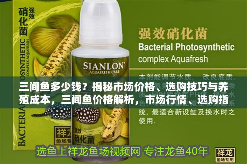 三間魚多少錢？揭秘市場價格、選購技巧與養殖成本，三間魚價格解析，市場行情、選購指南與養殖成本全揭秘
