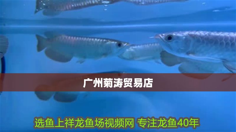 廣州菊濤貿易店