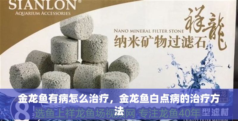 金龍魚有病怎么治療，金龍魚白點病的治療方法