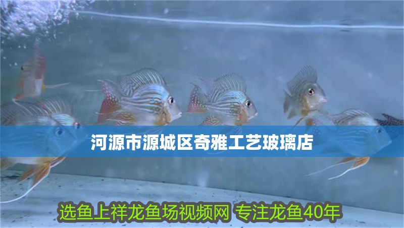 河源市源城區(qū)奇雅工藝玻璃店