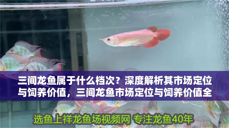 土龍魚的功效與作用圖片（土龍魚的功效與作用及禁忌）