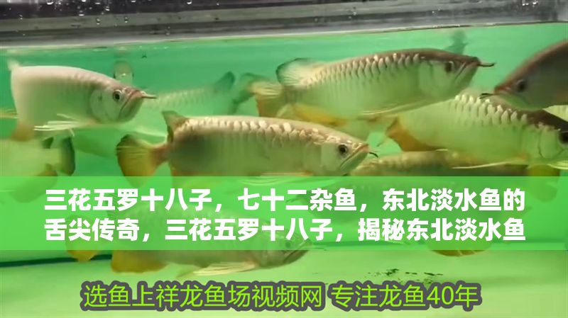 三花五羅十八子，七十二雜魚，東北淡水魚的舌尖傳奇，三花五羅十八子，揭秘東北淡水魚的舌尖傳奇