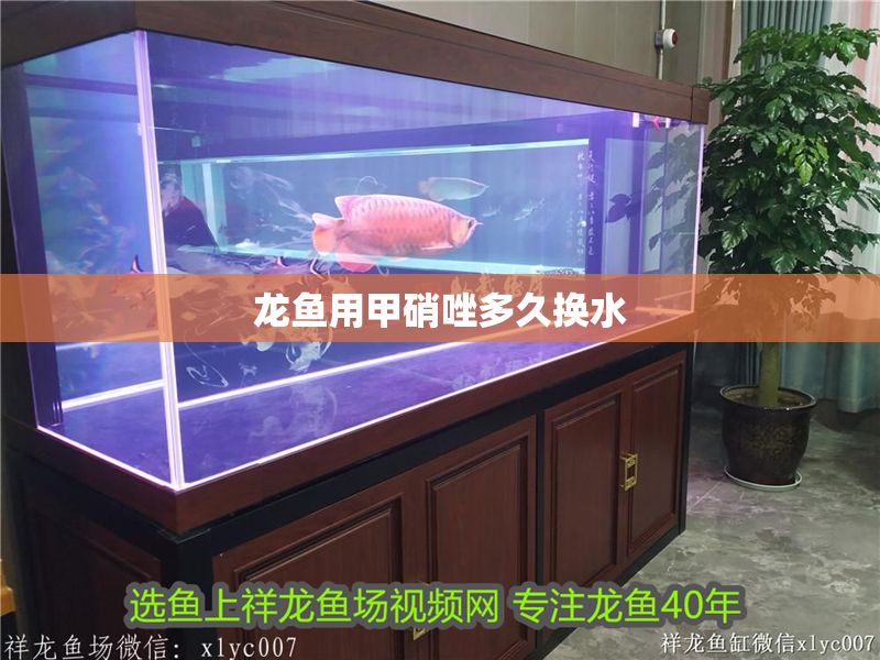 龍魚用甲硝唑多久換水